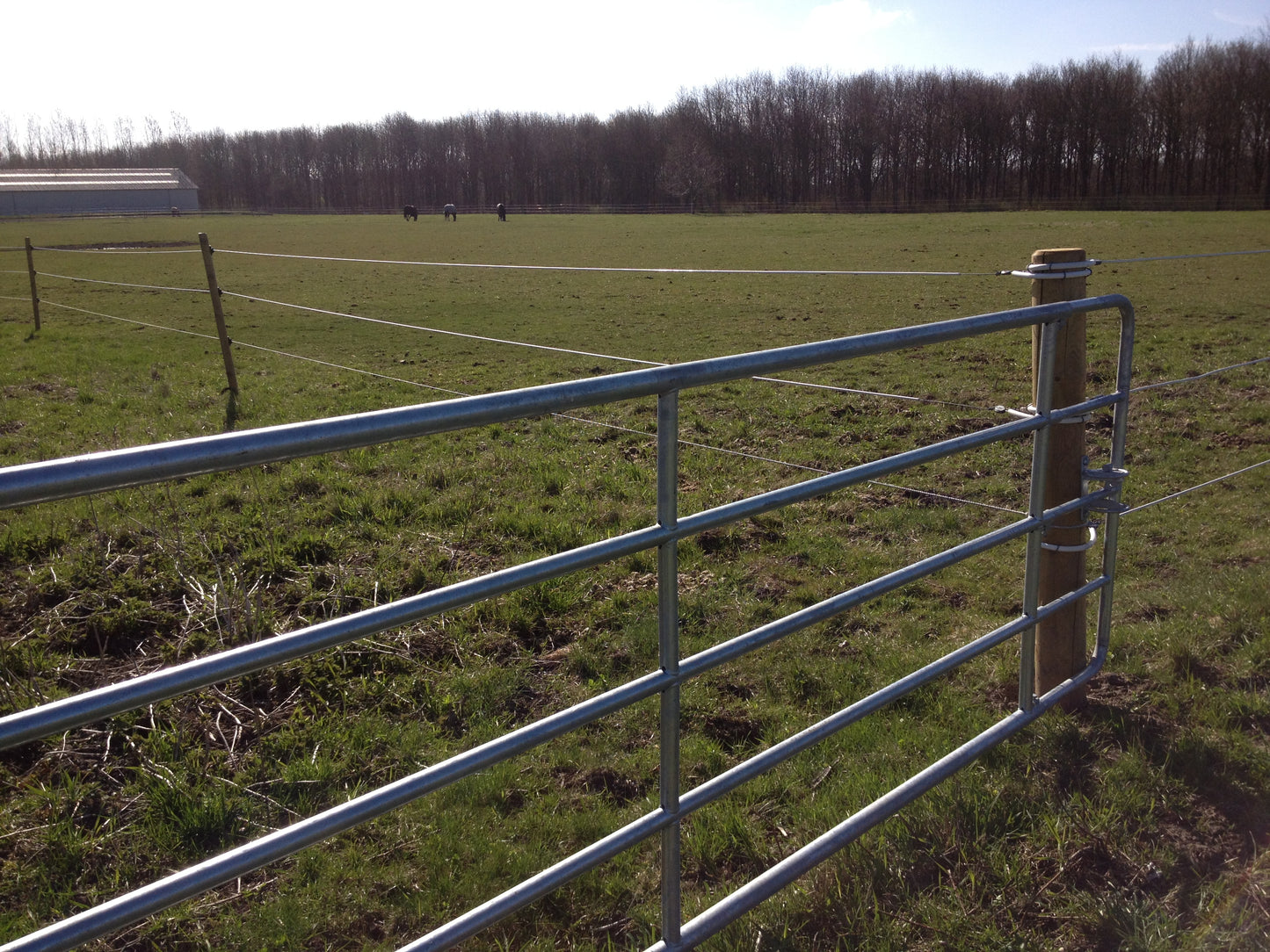 HEGNSLÅGE - STÅL (205-300 cm)