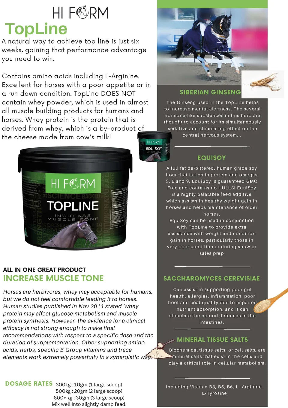 HI Form TopLine